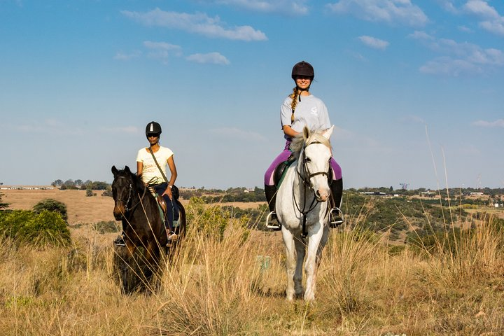 Horseback Small-Group Trail Rides in Muldersdrift - Photo 1 of 6